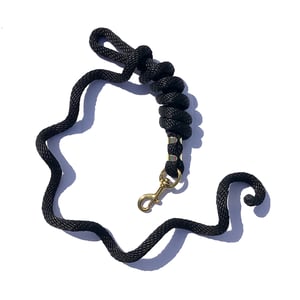 EA 5/8" x 9' Poly Lead with Brass Plated Bolt Snap - Sagebrush Tack