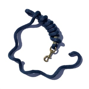 EA 5/8" x 9' Poly Lead with Brass Plated Bolt Snap - Sagebrush Tack