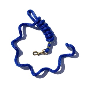 EA 5/8" x 9' Poly Lead with Brass Plated Bolt Snap - Sagebrush Tack