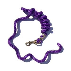 EA 5/8" x 9' Poly Lead with Brass Plated Bolt Snap - Sagebrush Tack