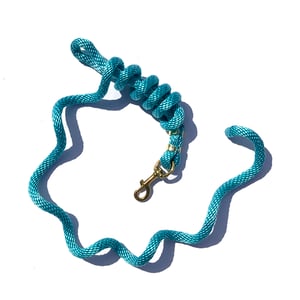 EA 5/8" x 9' Poly Lead with Brass Plated Bolt Snap - Sagebrush Tack