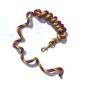 EA 5/8" x 9' Poly Lead with Brass Plated Bolt Snap - Sagebrush Tack