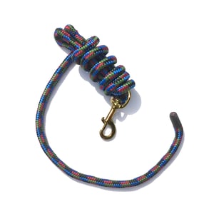 EA 5/8" x 9' Poly Lead with Brass Plated Bolt Snap - Sagebrush Tack