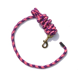 EA 5/8" x 9' Poly Lead with Brass Plated Bolt Snap - Sagebrush Tack