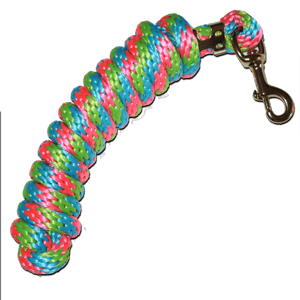 EA 5/8" x 9' Poly Lead with Brass Plated Bolt Snap - Sagebrush Tack