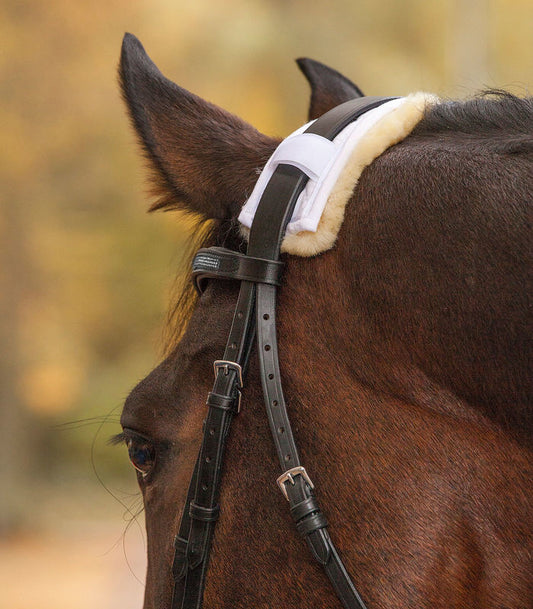 Waldhausen Lambskin Poll or Nose Protector