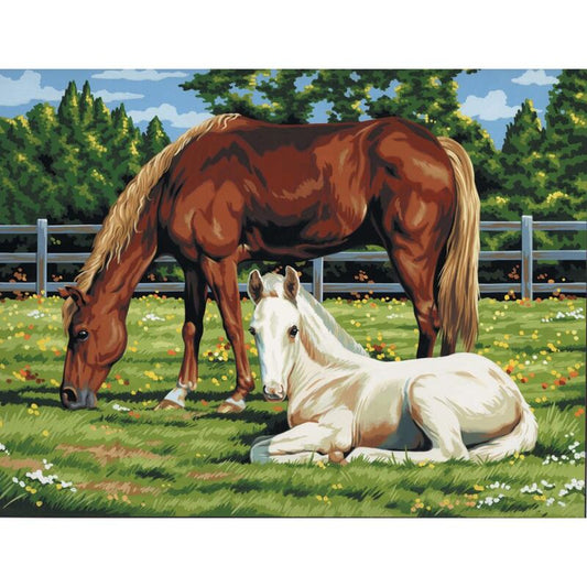 Artist Paint by Number Kit 11" x 14"- Horses in Field