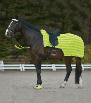 WH Reflex Exercise Sheet - Sagebrush Tack