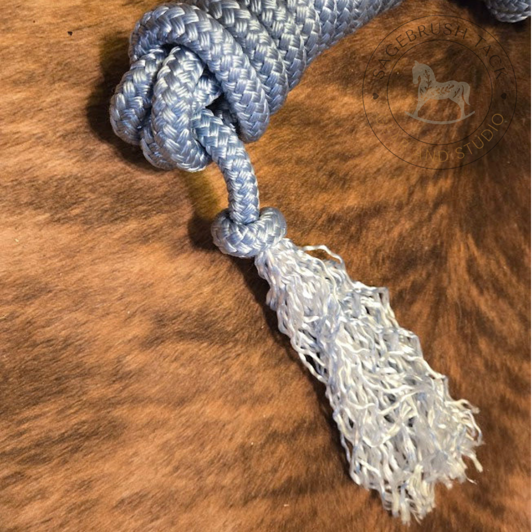 5/8" 21ft cavesson lunge line in sky blue with silver snap and tassel end