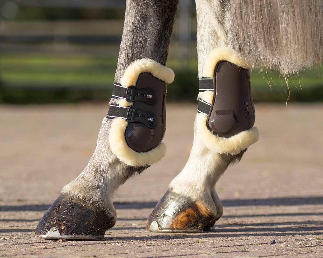 QHP Ontario Fetlock Boots
