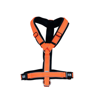 Sprenger Foal Harness