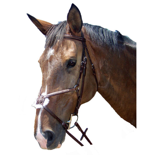 Pro-Trainer Figure 8 Bridle