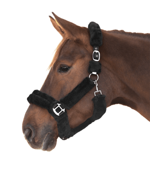WH Cozy Halter - Sagebrush Tack