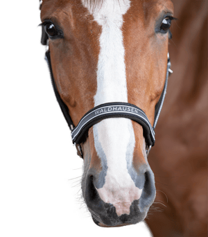 Waldhausen Athletic Halter - Sagebrush Tack