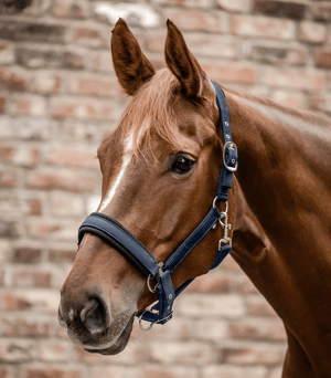 WH Breathe Halter - Sagebrush Tack
