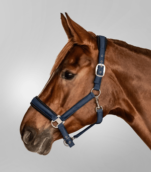 WH Breathe Halter - Sagebrush Tack