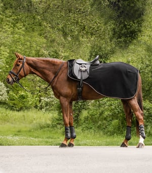 Modern Rose Fleece Quarter Sheet - Sagebrush Tack