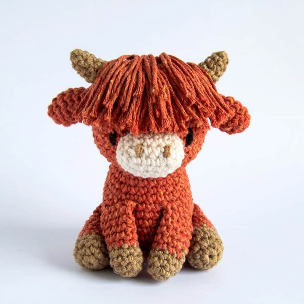 Yarn Kit - Aidan the Highland Cow