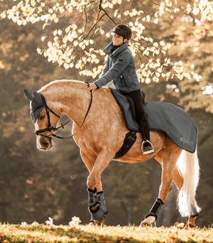 Waldhausen Nashville Waterproof Quarter Sheet - Sagebrush Tack