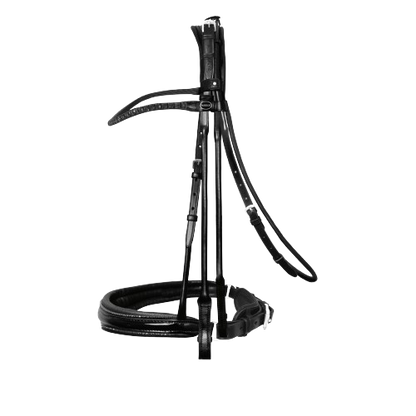 Passier Highscore Double Bridle