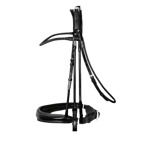 Passier Highscore Double Bridle