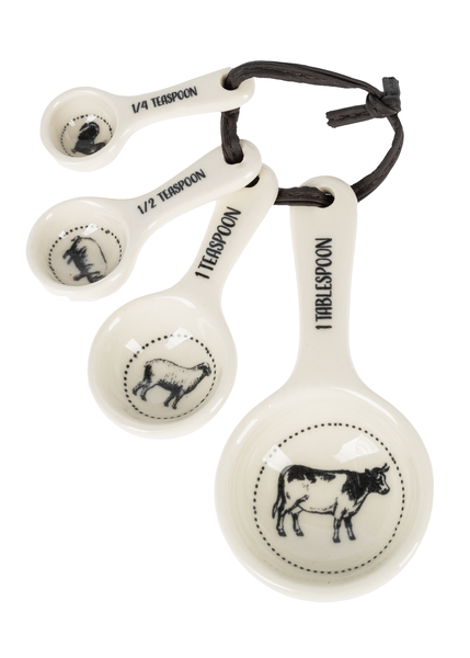 Ganz Farmhouse Measuring Spoons