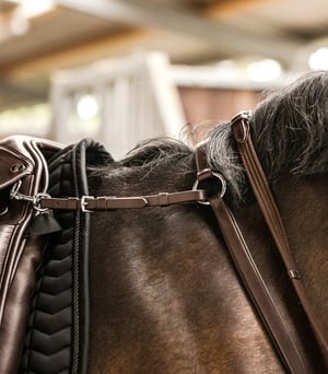 Waldhausen Professional Breastplate - Sagebrush Tack