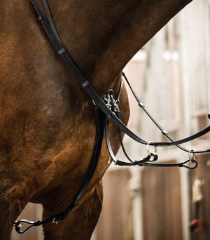 Waldhausen X-Line Professional Running Martingale