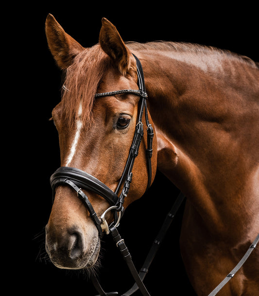 Waldhausen X-Line Favourite Bridle