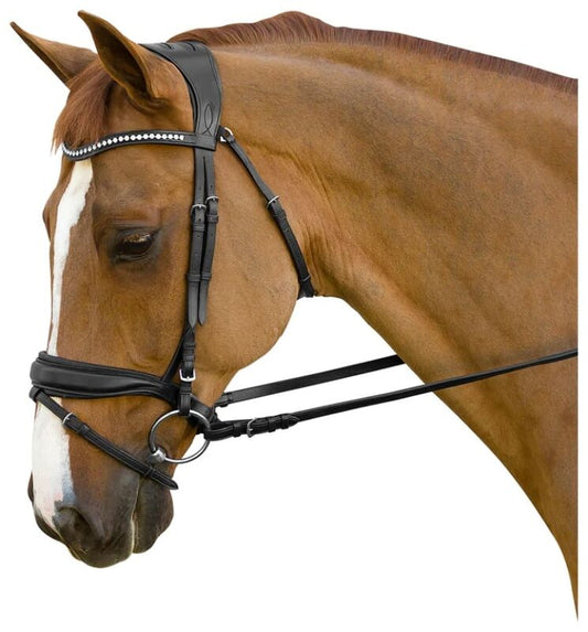 M. Toulouse Rythmical Dressage Bridle