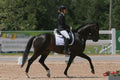 EquineLux 