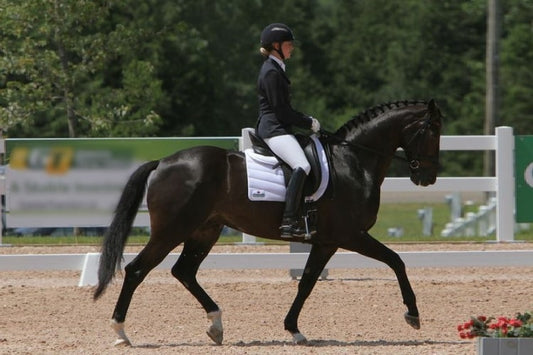 EquineLux Shock-Reducing™ dressage saddle pad with cotton lining and pockets for shims