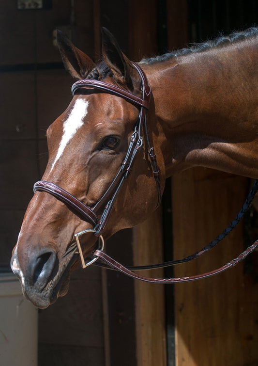 Nunn Finer Florence Hunter Bridle
