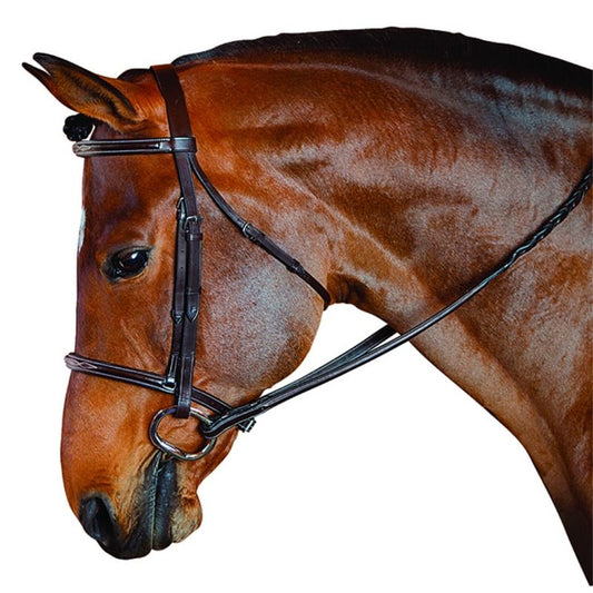M. Toulouse STANDARD Hunter Bridle