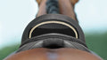 Passier Paxton All Purpose Saddle