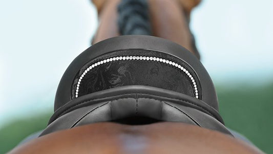 Passier EVO-D Dressage Saddle