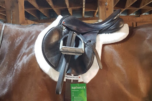 EquineLux Edge-Contoured™ saddle pad with fleece contour roll and cotton lining (no pockets)