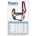 Perri's 1