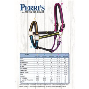 Perri's 1" Show Halter - Havana - Sagebrush Tack