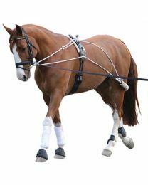 Can-Pro Lunging System