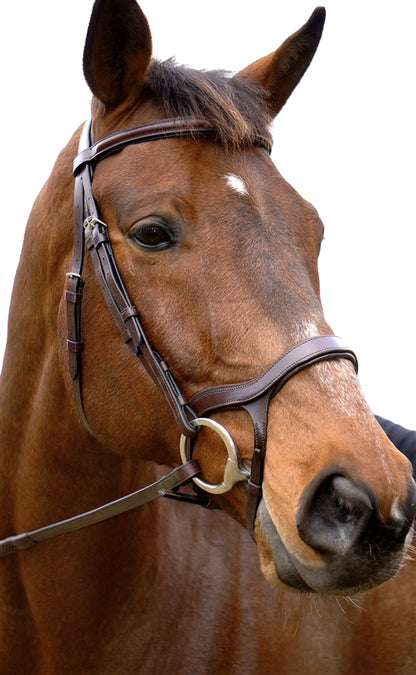 Nunn Finer Innovativo Bridle