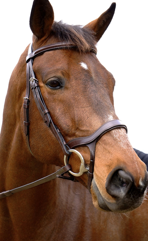 Nunn Finer Innovativo Bridle