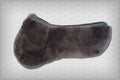 EquineLux