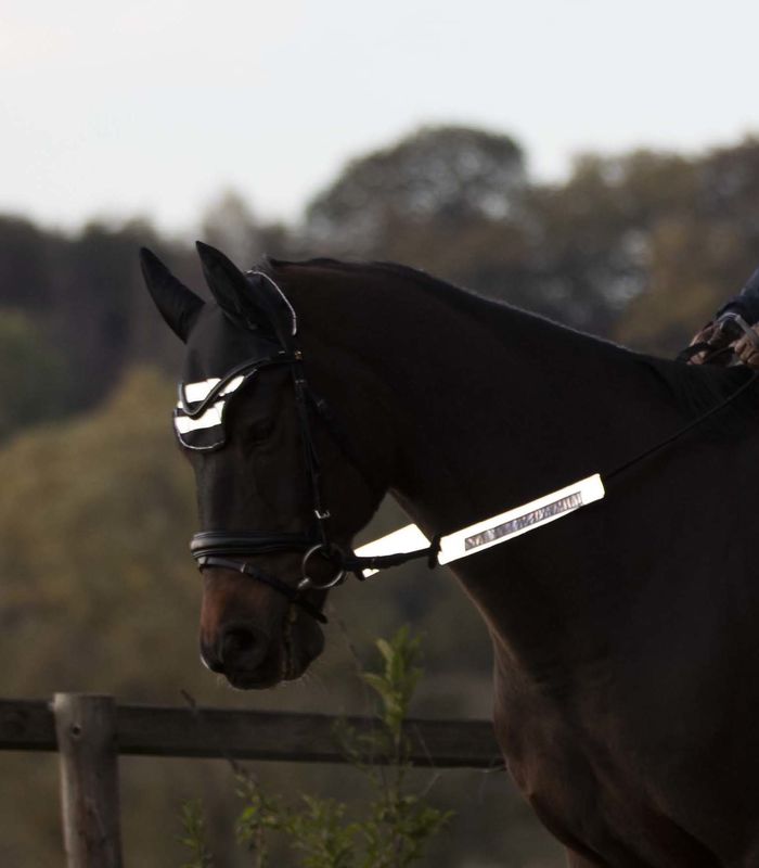 Waldhausen REFLEX Bridle Set