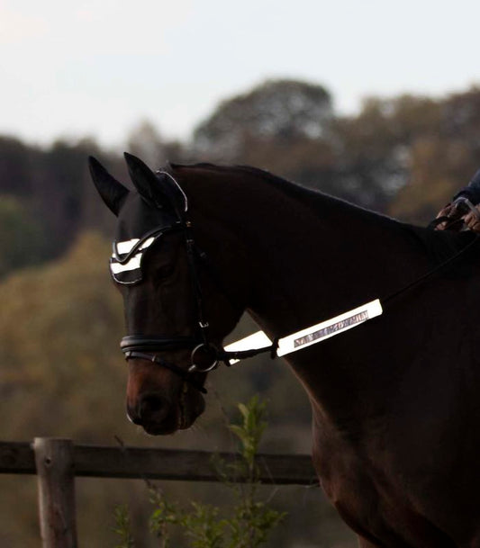 Waldhausen REFLEX Bridle Set