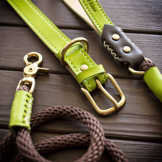 Trigger Snap (Brass) for reins, dog leashes