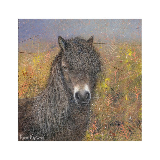 Otter House Greeting Card - Exmoor Pony