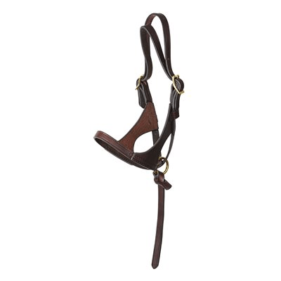 Perri's Premium Leather Foal Halter - Havana - Sagebrush Tack