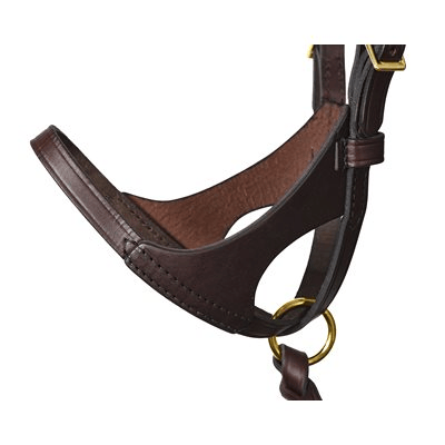 Perri's Premium Leather Foal Halter - Havana - Sagebrush Tack