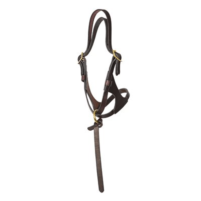 Perri's Premium Leather Foal Halter - Havana - Sagebrush Tack